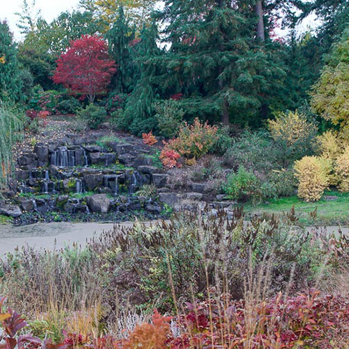 Alpaca Farm and Gardens